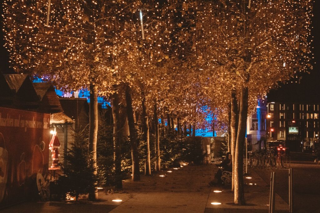 a row of trees that have lights on them